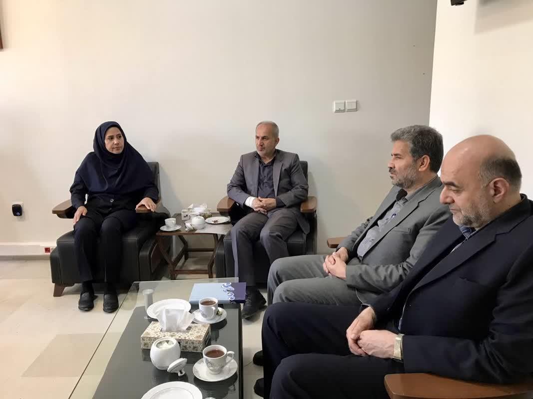 رسانه جدید