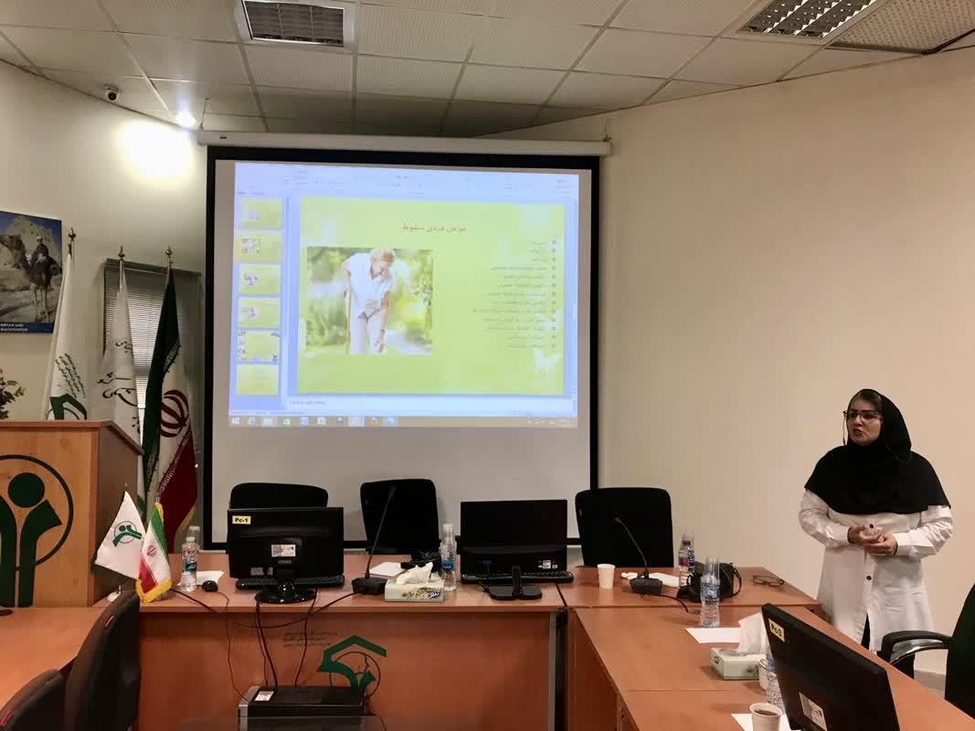 رسانه جدید