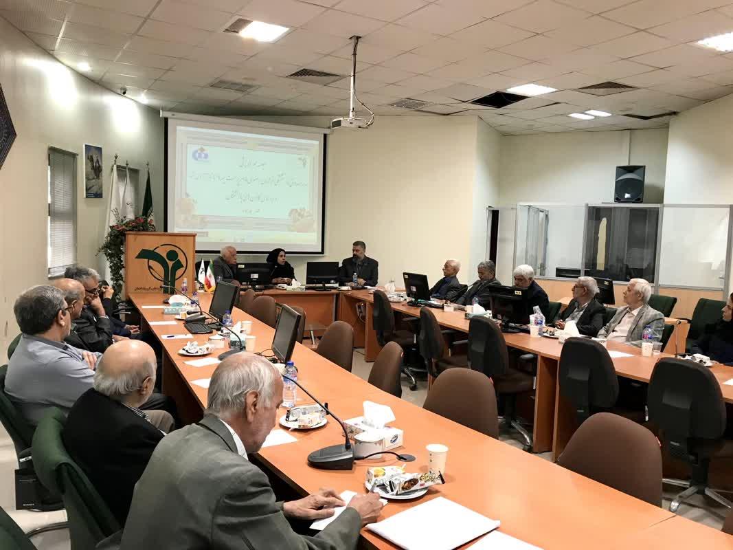 رسانه جدید