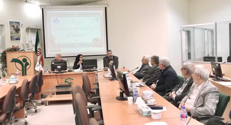 رسانه جدید