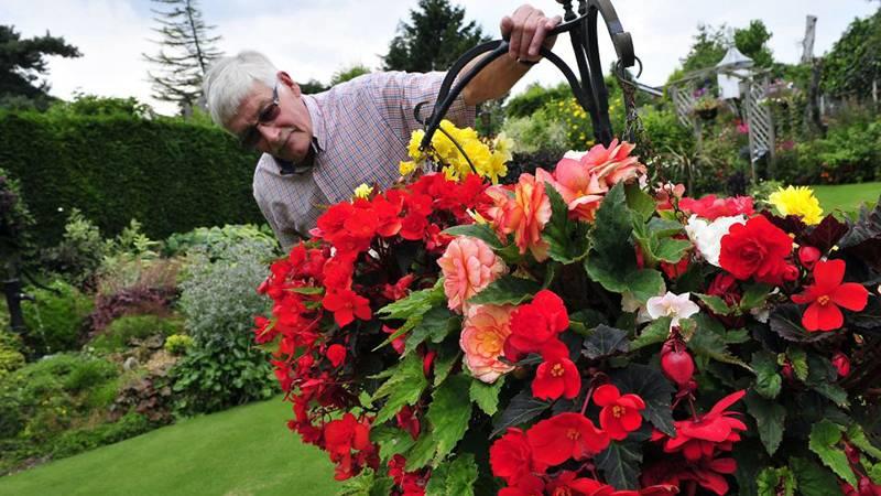 داوطلب شوید: تاثیرگذار بمانید، تجربه‌هایتان را جاودانه کنید