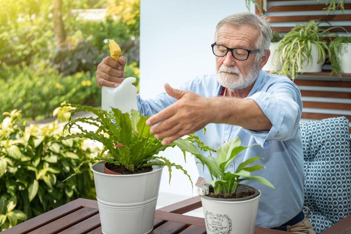 باغبانی، خطر درد زانو و آرتروز را کاهش می‌دهد