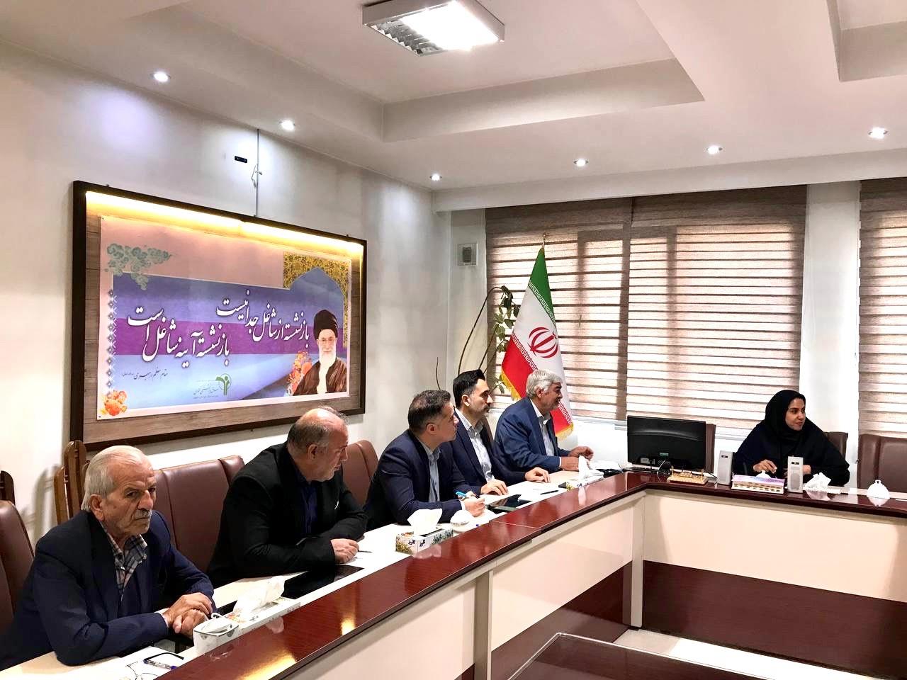 رسانه جدید