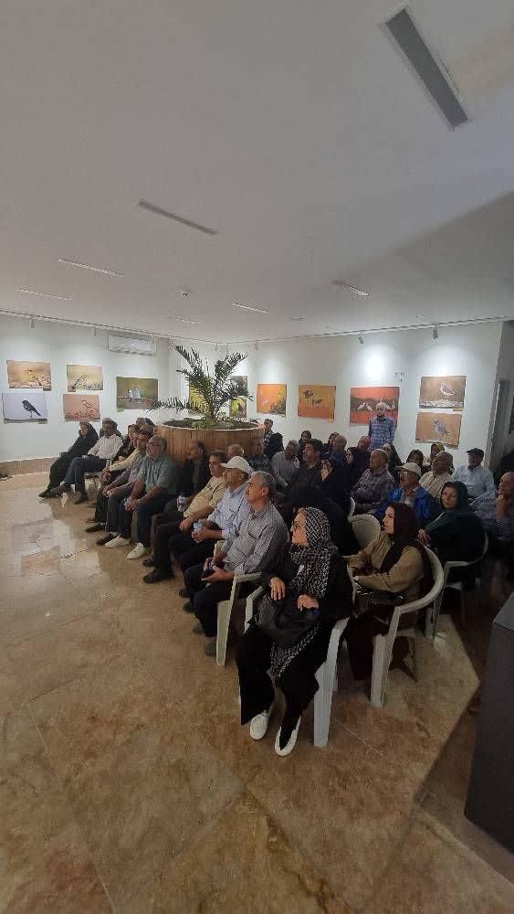 رسانه جدید