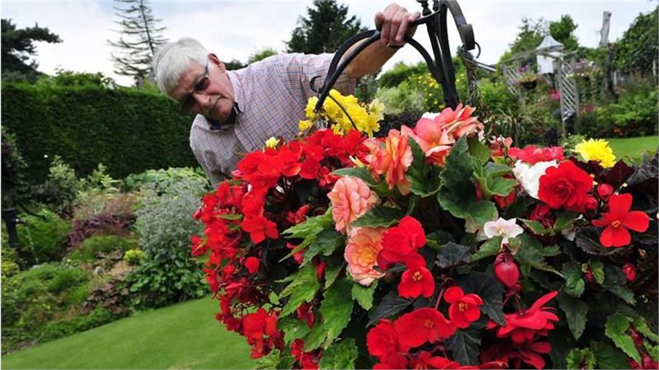 داوطلب شوید: تاثیرگذار بمانید، تجربه‌هایتان را جاودانه کنید