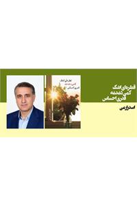 قطره ای اشک، کمی دغدغه، قدری احساس