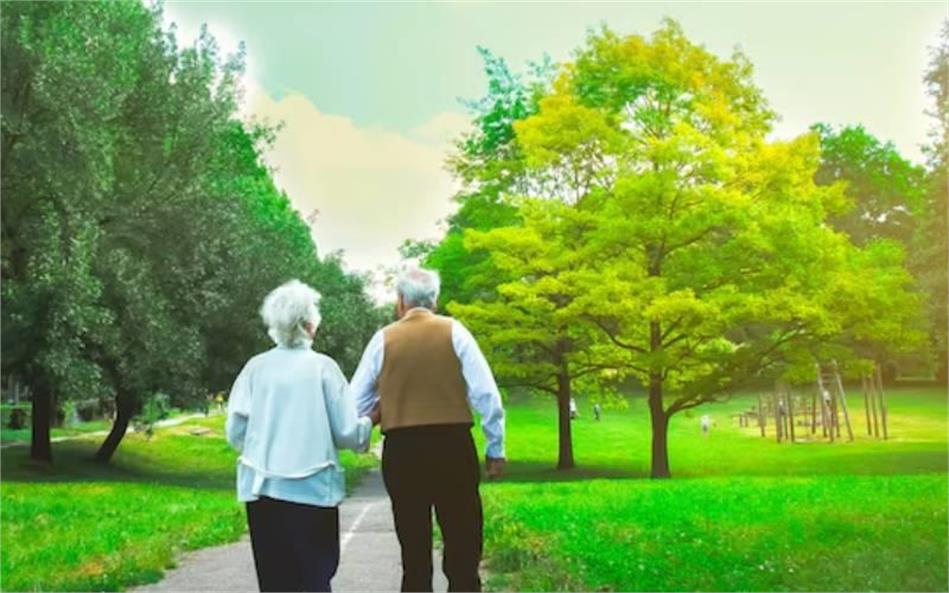 برنامه‌ریزی مالی، حقوقی و بیمه: سه رکن اصلی برای دوران سالمندی و بازنشستگی آرام