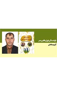 بازنشستگی دوران طلایی عمر