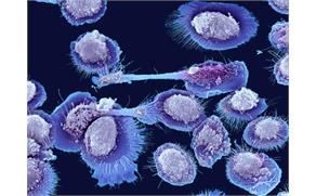 New Ultra-Fast Genome Sequencing Technology Holds Promise for Accelerating Aging Research