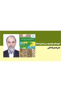 حوزه‌های خوشنویسی در جهان اسلامی