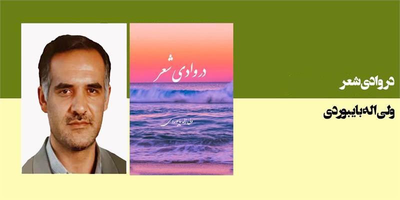 در وادی شعر
