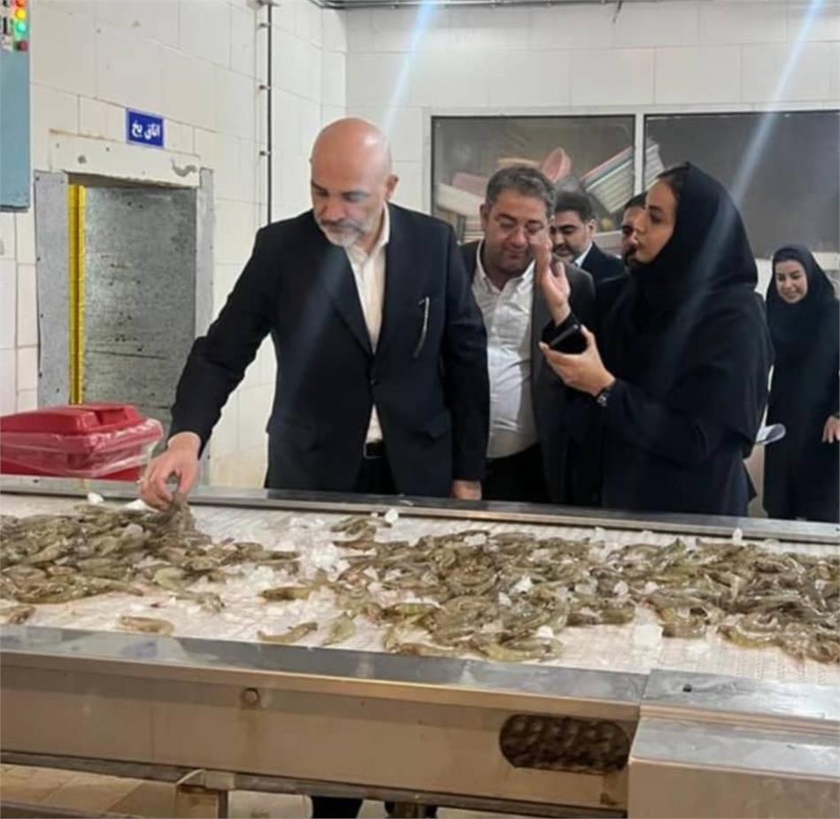 لزوم اصلاح ساختار مالی، تنوع درآمدی و افزایش سودآوری آبزی فرآیند بوشهر