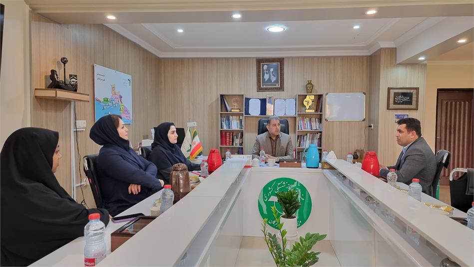 دومین نشست مشترک مدیرصندوق بازنشستگی هرمزگان و بیمه دانا برگزار شد