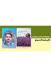 مجموعه شعر دختر سمپادی من