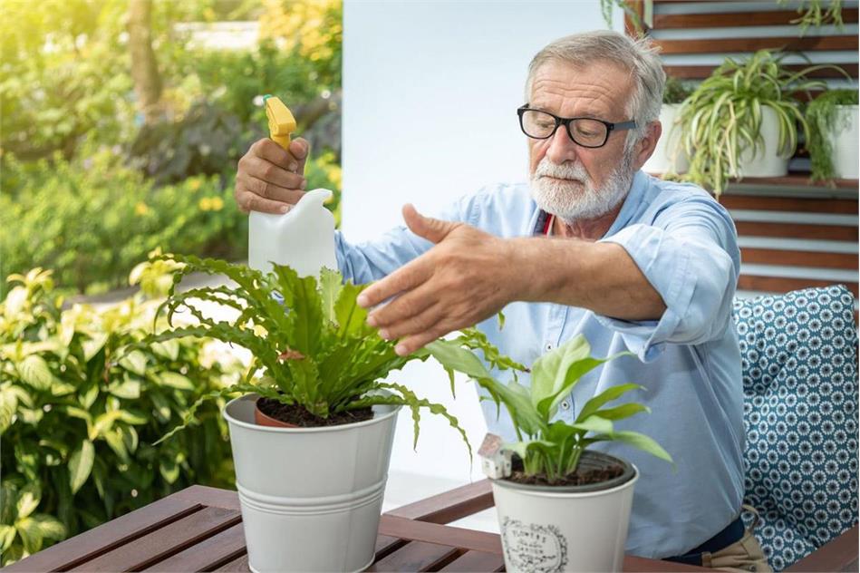 باغبانی، خطر درد زانو و آرتروز را کاهش می‌دهد