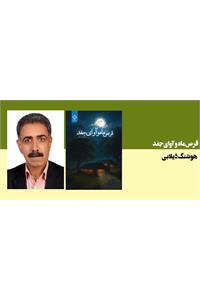 قرص ماه و آوای جغد