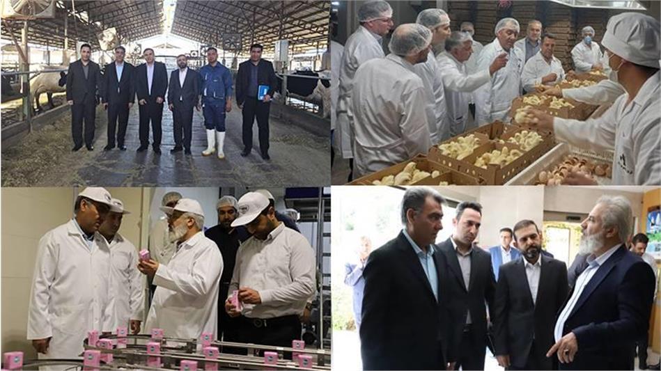 بازگشت واحد تولیدی راکد به مدار تولید و ابلاغ استراتژی «هم‌افزایی درون‌گروهی»