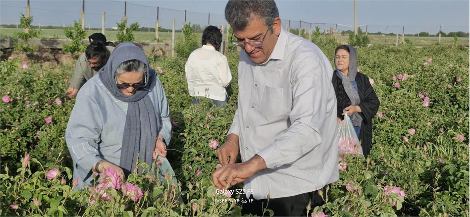 روزی در میان عطر گل محمدی؛ یادگاری سفر بازنشستگان مخابرات استان قزوین