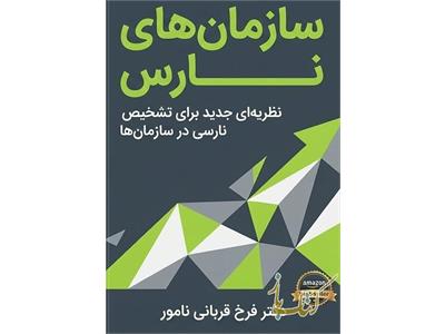 سازمانهای نارس