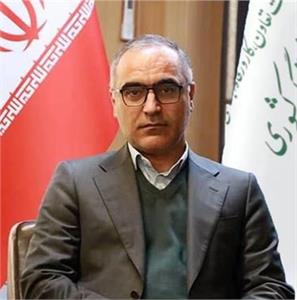 رسانه جدید