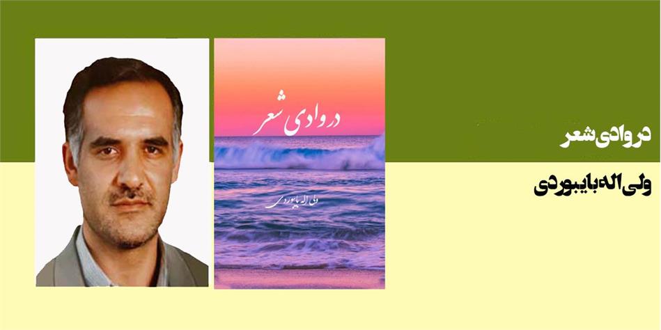 در وادی شعر