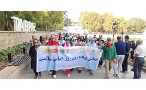سالمند 20